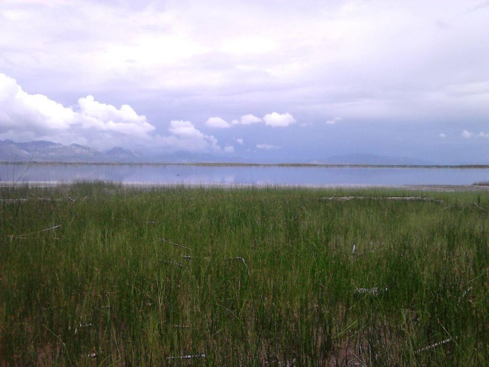 Laguna de Santiaguillo