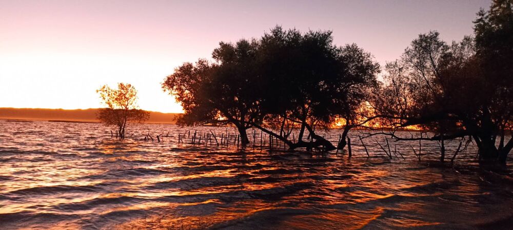 Laguna de Santiaguillo