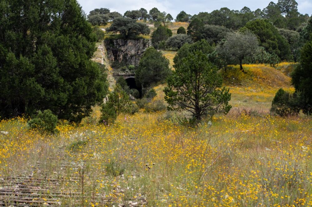 Antigua vía ferrea astilleros