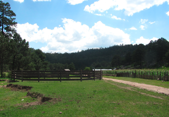 Imagen destacada de La Plazuela (El Rayo)